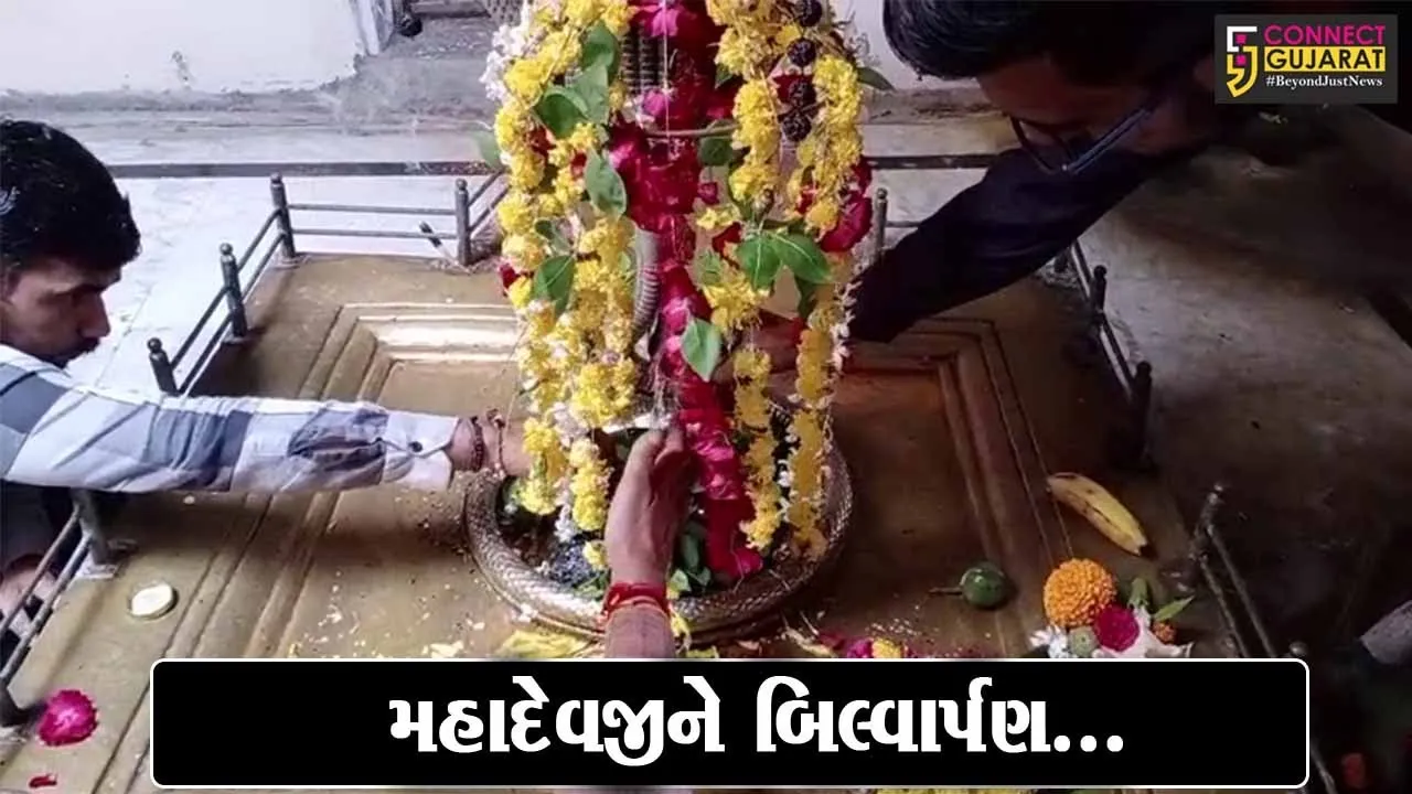 ભરૂચ : પવિત્ર શ્રાવણ માસના અંતિમ સોમવારે શ્રી પરશુરામ સંગઠન દ્વારા મહાદેવજીને બિલ્વાર્પણ કરી પૂજન-અર્ચન કરાયું...