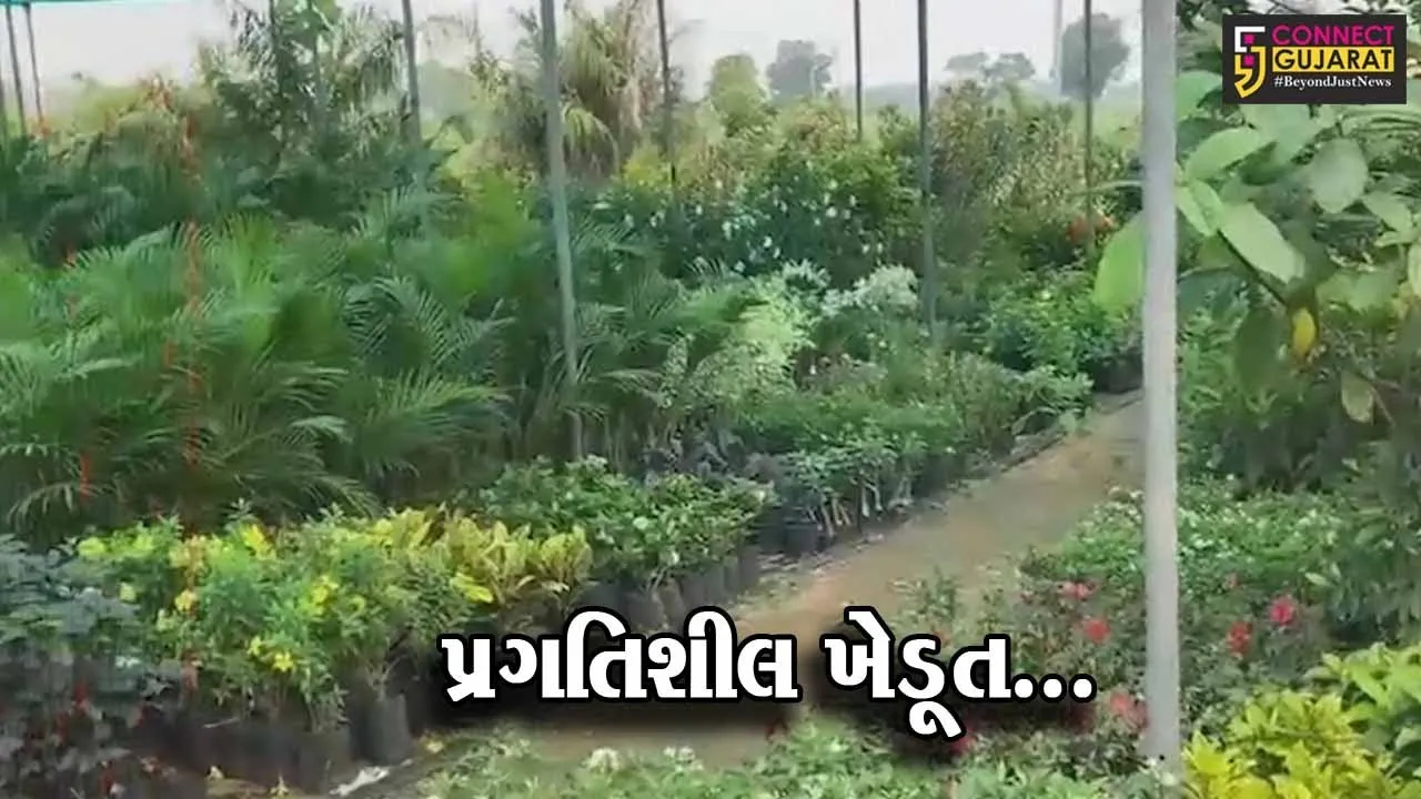 લક્ષ્મણ ફળ અને હનુમાન ફળના એકમાત્ર રોપા મળે છે સાબરકાંઠાના હિંગળાજ ગામે, ખેડૂતનો નર્સરીનો શોખ બન્યો આવકનું સાધન...