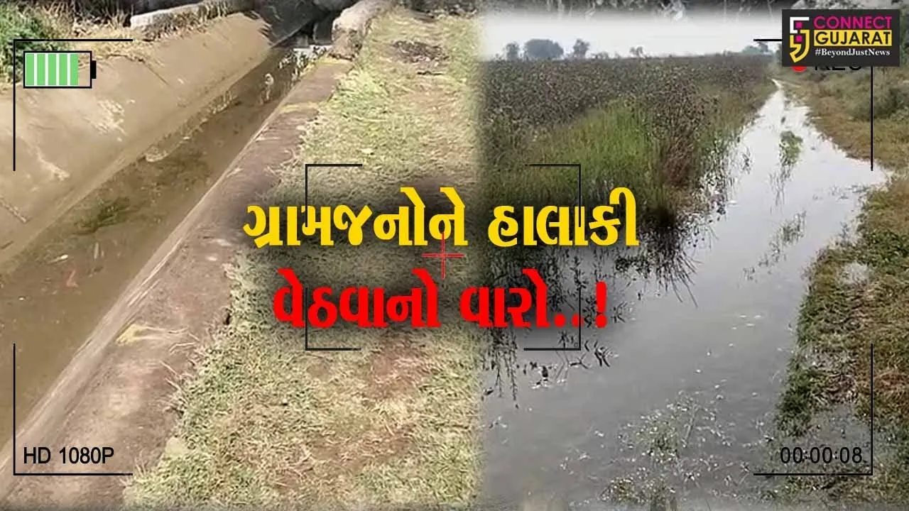ભરૂચ : આમોદના નવા દાદાપોર ગામે કેનાલનું પાણી ફરી વળ્યું, નહેર નિગમની બેદરકારીનો ગ્રામજનો દ્વારા આક્ષેપ..!
