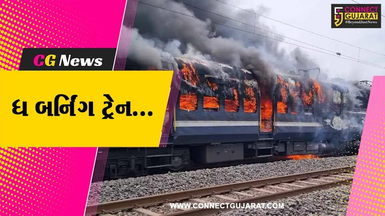 દાહોદથી આણંદ જતી મેમુ ટ્રેનના 2 કોચમાં ફાટી નીકળી ભીષણ આગ, મુસાફરોનો આબાદ બચાવ...