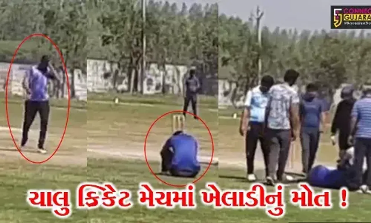 અમદાવાદ: ચાલુ ક્રિકેટ મેચમાં GST ઓફિસરનું હ્રદય રોગના હુમલાથી મોત, જુઓ LIVE દ્રશ્યો