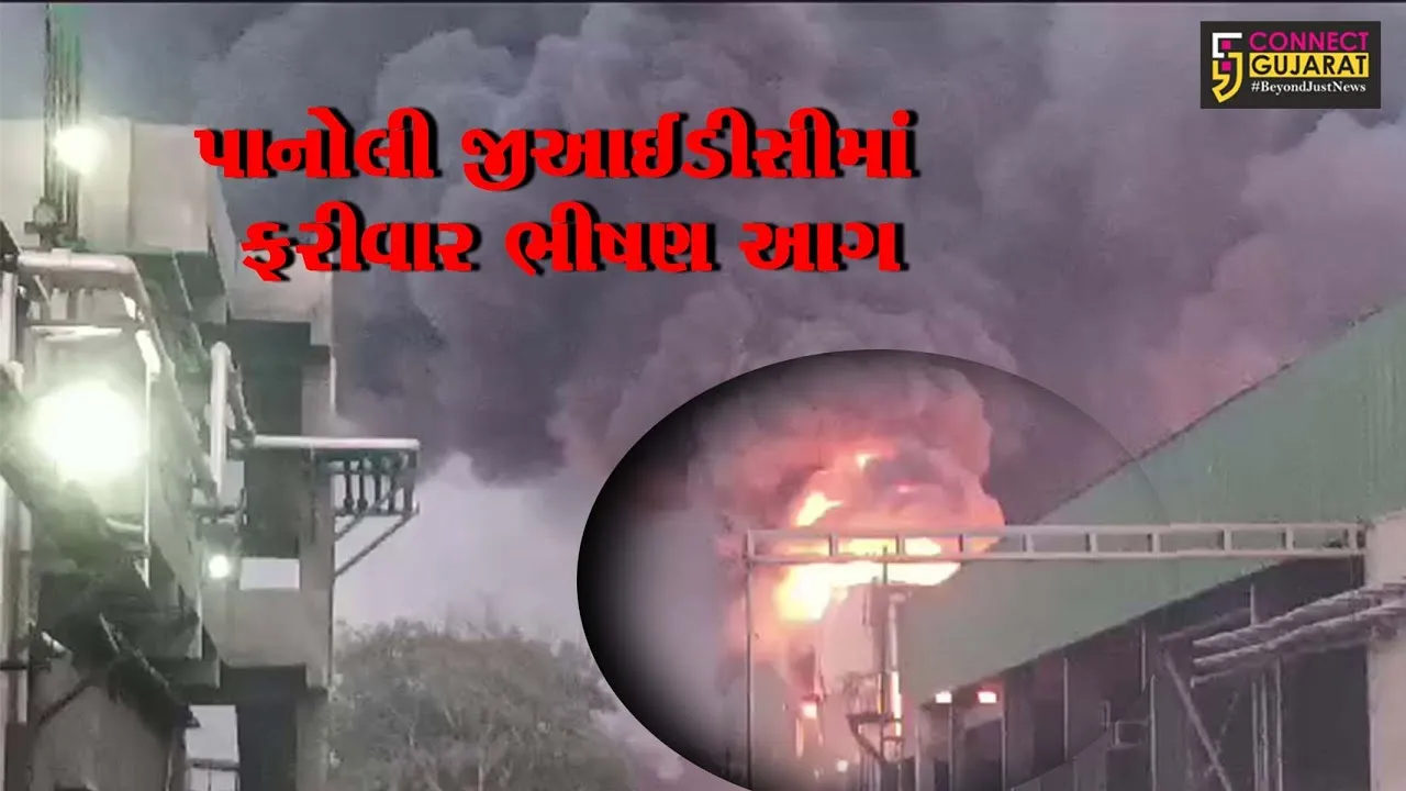 અંકલેશ્વર: પાનોલીની RSPL કંપનીમાં આગનું તાંડવ,અગનજ્વાળાના કારણે લોકોના જીવ તાળવે ચોંટયા