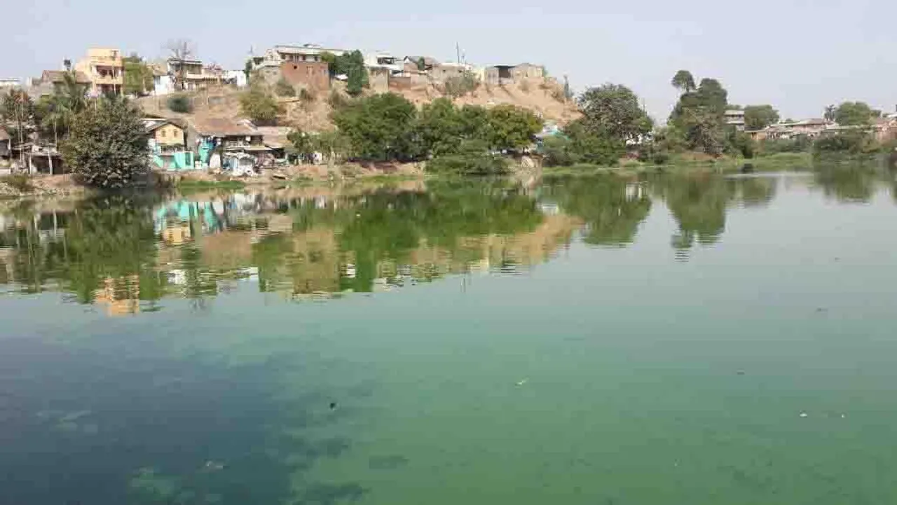 ભરૂચનાં રતન તળાવમાં કાચબાનાં મોતનો સિલસિલો યથાવત.