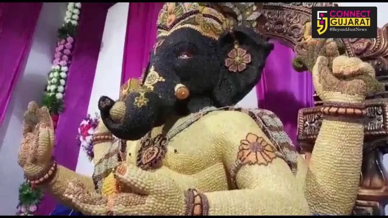 અંકલેશ્વર શહેરનાં સુથાર ફળિયામાં અનાજ અને કઠોળ માંથી ગણેશજીનો યુવક મંડળે અલૌકિક શણગાર કર્યો