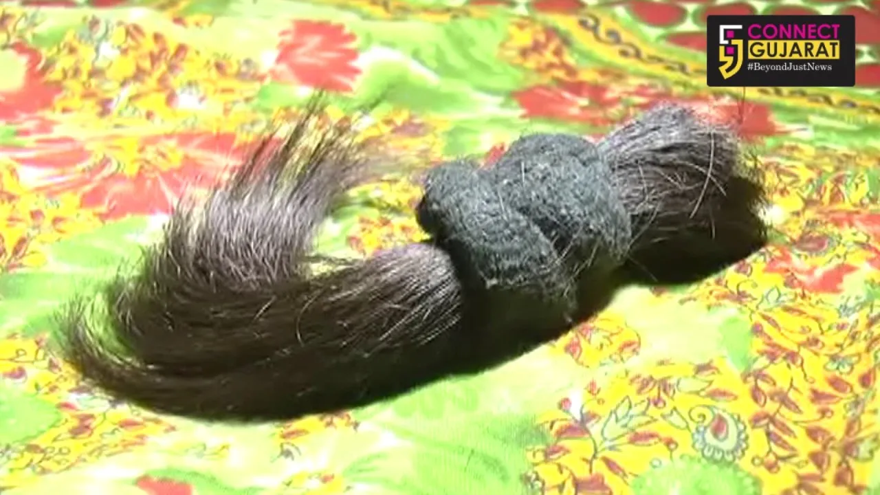 દેશનાં જુદાજુદા રાજ્યો બાદ રાજકોટ બની તરૂણીની ચોટલી કાપવાની ઘટના