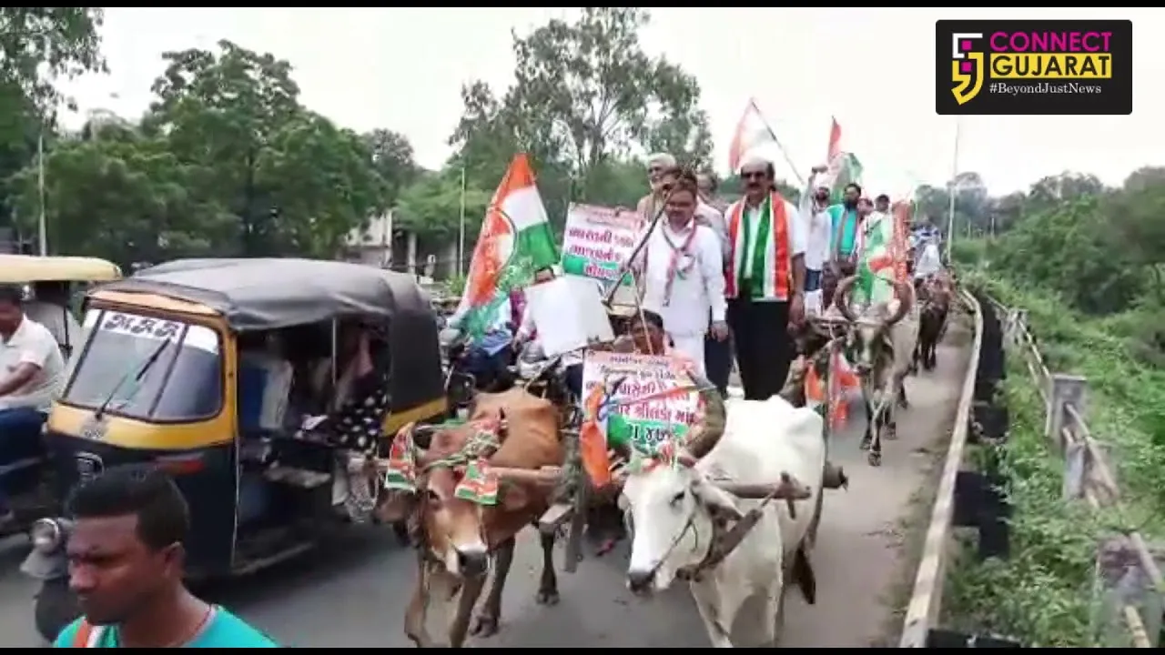 અંકલેશ્વરમાં યુથ કોંગ્રેસે બળદ ગાડીમાં  રેલી કાઢીને મોંઘવારી બદલ સરકારનો કર્યો વિરોધ