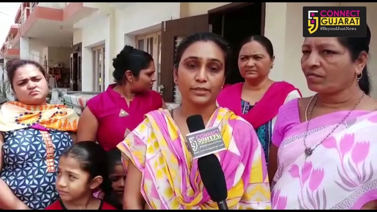 અંકલેશ્વર સાંઈ રેસીડેન્સી ખાતે નગર પાલિકા દ્વારા સફાઈ કરવામાં આવતી ન હોવાની સ્થાનિકોની ફરિયાદ