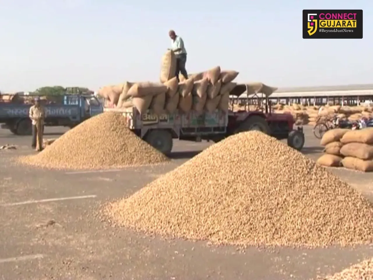 રાજકોટ માર્કેટીંગ યાર્ડમાં ટેકાનાં ભાવે મગફળીની ખરીદી શરૂ
