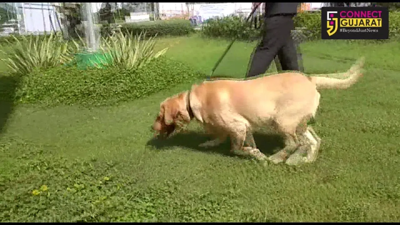 વડોદરામાં વડા પ્રધાન નરેન્દ્ર મોદીનાં આગમન તાણે સુરક્ષા એજન્સીઓ સતર્ક