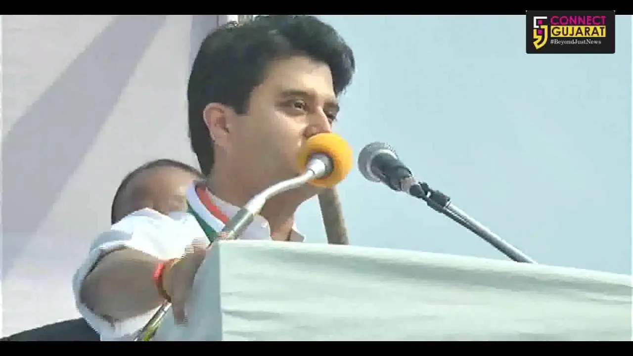 વિકાસ ગાંડો થયો છે અને ભાજપ વાળા રઘવાયા થયા છે , અહમદ પટેલ