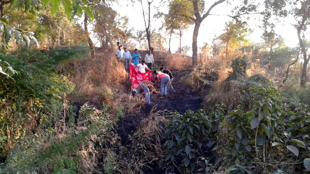 અંકલેશ્વરનાં ભરૂચીનાકા પાસે પતંગ લૂંટવા જતા  યુવાનને  વીજ કરંટ લાગતા મોત