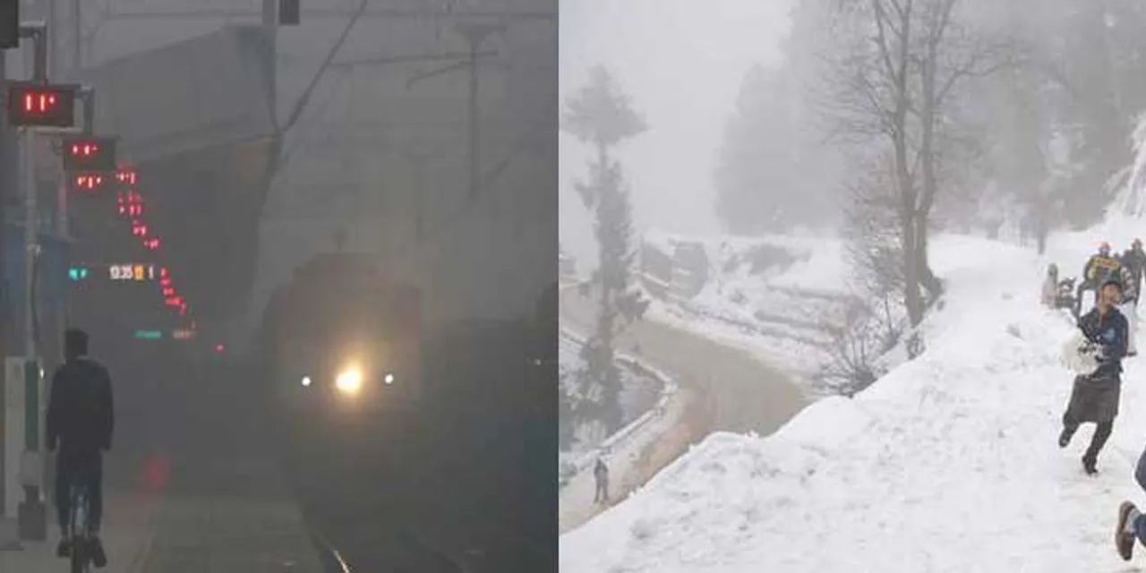 ઉત્તર ભારતમાં ગાઢ ધુમ્મસનાં કારણે  500 થી વધુ ફલાઈટ અને 400 ટ્રેનોને અસર