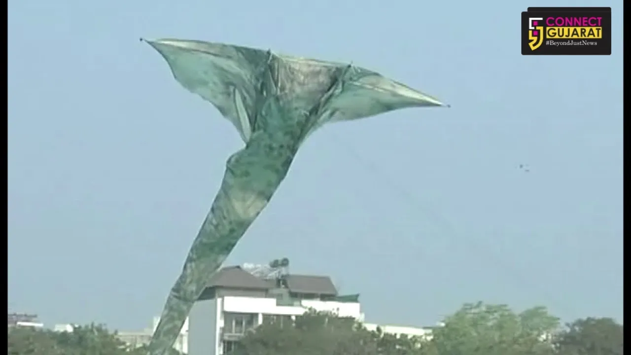 રાજકોટ મહાનગર પાલિકા આયોજીત આંતરરાષ્ટ્રીય પતંગ મહોત્સવમાં વિદેશી સહેલાણીયો બન્યા આકર્ષણનું કેન્દ્ર