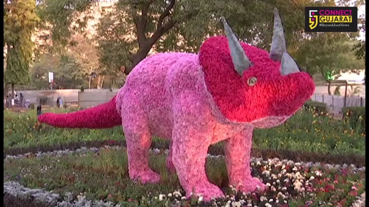 રાજકોટમાં ફલાવર શોએ જમાવ્યુ આકર્ષણ