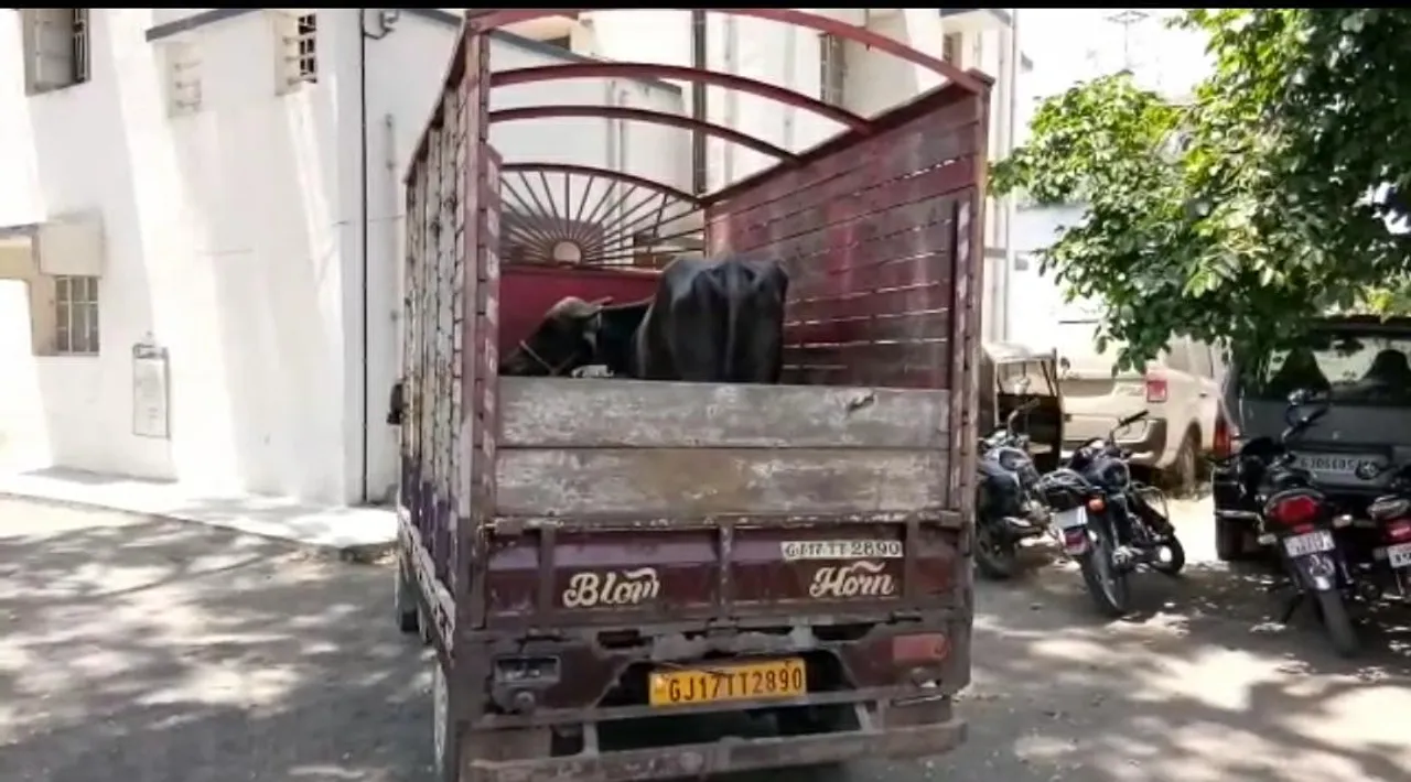 પંચમહાલનાં વેજલપુરમાં ગૌવંશ લઈ જતાં ટેમ્પોનો પીછો કરતાં પોલીસ ઉપર ટોળાનો હુમલો