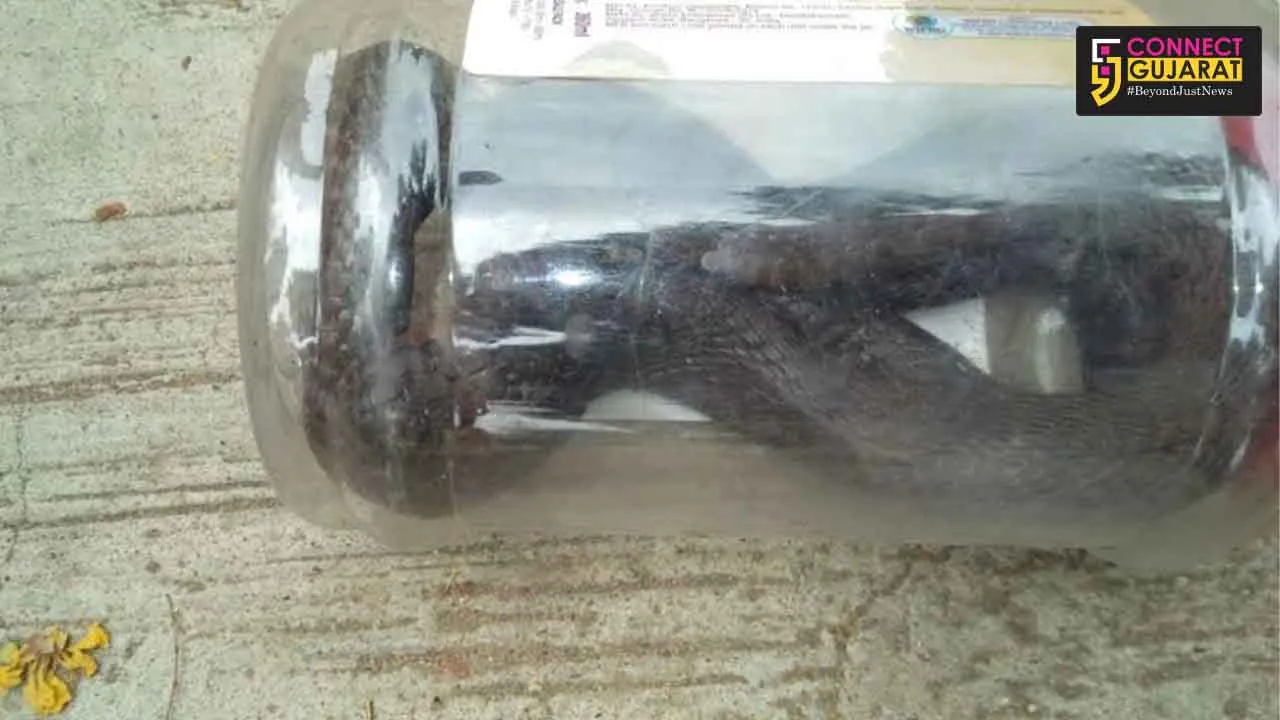 ઝગડીયા તાલુકાની ઉમલ્લા રેફરલ હોસપીટલમાં સાપ નિકળતા અફરાતફરી