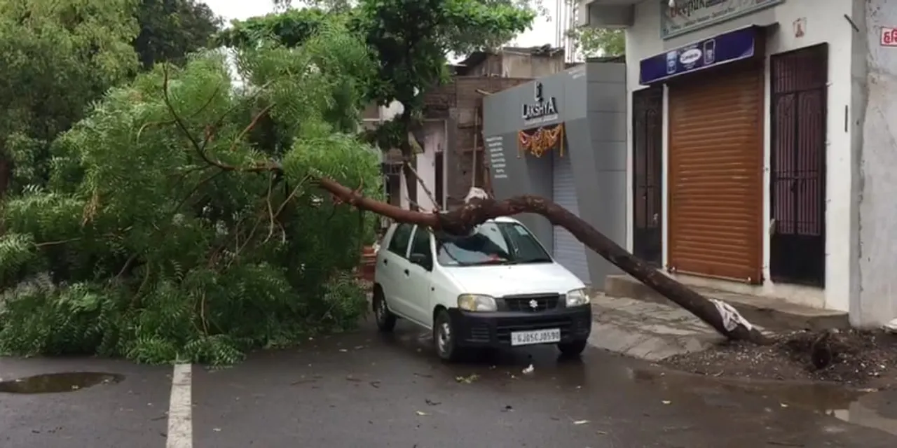 ગુજરાતમાં ભારે પવન સાથે વરસાદની ધમાકેદાર એન્ટ્રી, થયા વીજળીના કડાકા