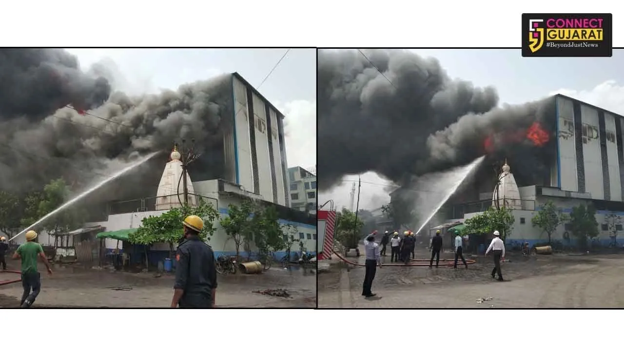 સુરત પાંડેસરા જીઆઇડીસીની મારૂતિ મીલમાં ભીષણ આગ