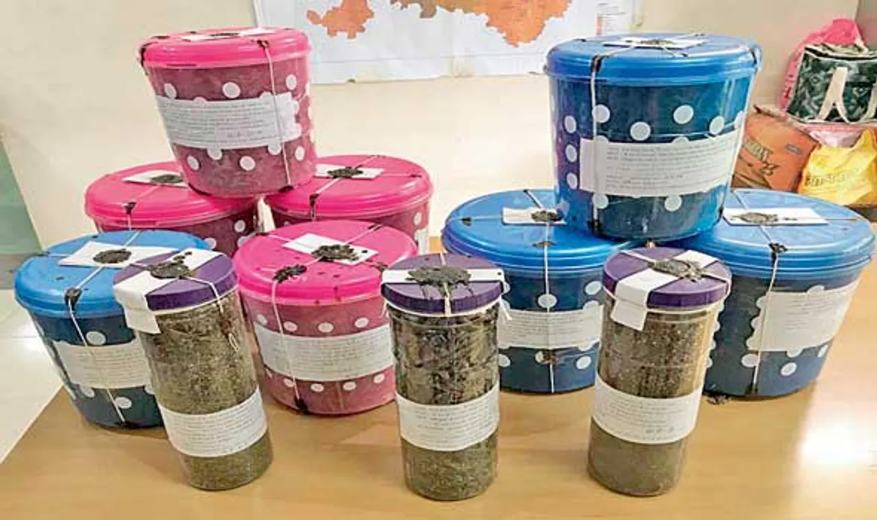 ગાંધીનગરઃ SOG ટીમે મકાનમાંથી ઝડપી પાડ્યો ૧૬.૯૦ કિલો ગાંજાનો જથ્થો