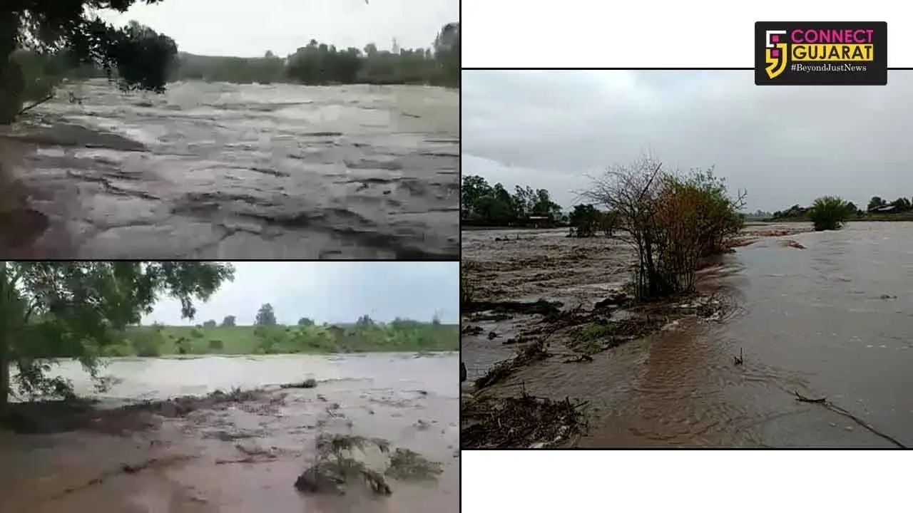 નર્મદાઃ સાગબારા તાલુકામાં ભારે વરસાદ, ભોરઆંબલી ગામ પાણીમાં ગરકાવ