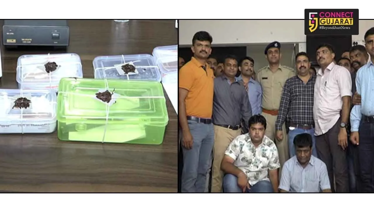 રાજકોટનાં આજીડેમ ચોકડી નજીકથી સોની વેપારીની લૂંટનાં ઇરાદે કરાઇ હત્યા