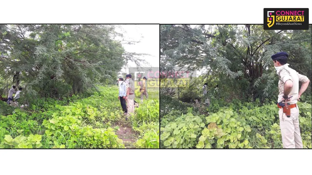 અંકલેશ્વરના આંબોલીગામની સિમના ખેતર માંથી મળી ઝાડ પર લટકતી યુવાનની લાસ!