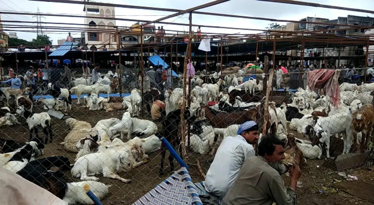 સુરતના લિંબાયતમાં બકરામંડીનું આખરે શરૂ કરાયું ડિમોલેશન !