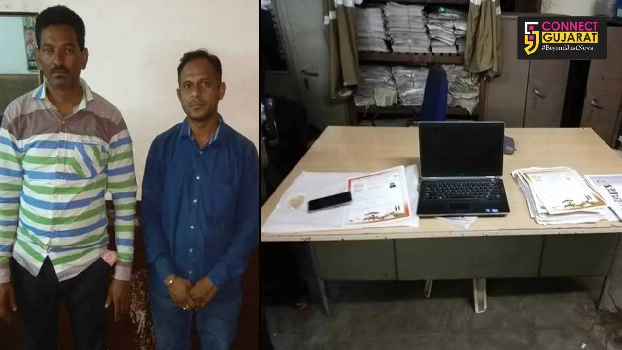 વડોદરા: ડુપ્લિકેટ સર્ટી બનાવવાના કૌભાંડનો પર્દાફાશ, બે ઝડપાયા