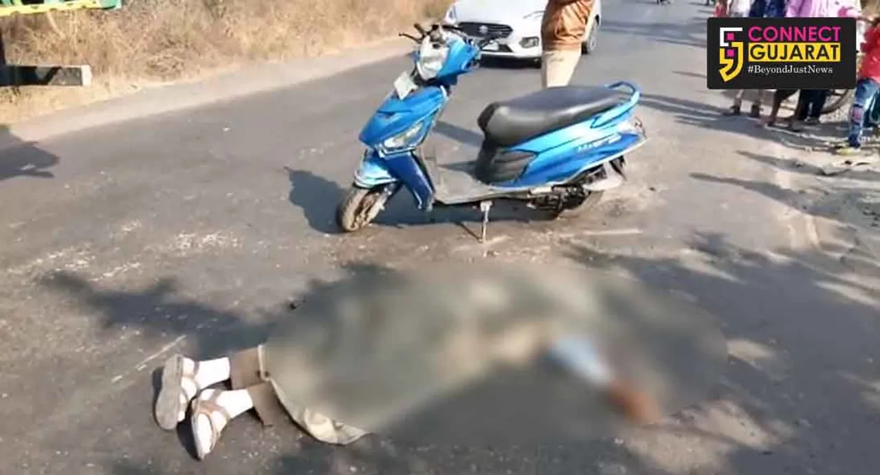 વાઘોડિયા : પાદરીયાપૂરા ગામ નજીક અજાણ્યા વાહનની ટક્કરે એક્ટીવા ચાલકનું મોત