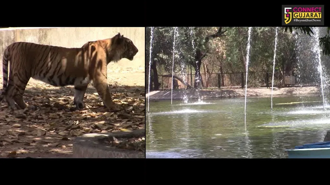 ગરમીથી બચાવવા જાણો કયાં પીવડાવાય છે પ્રાણીઓને એનર્જી ડ્રીંક...!