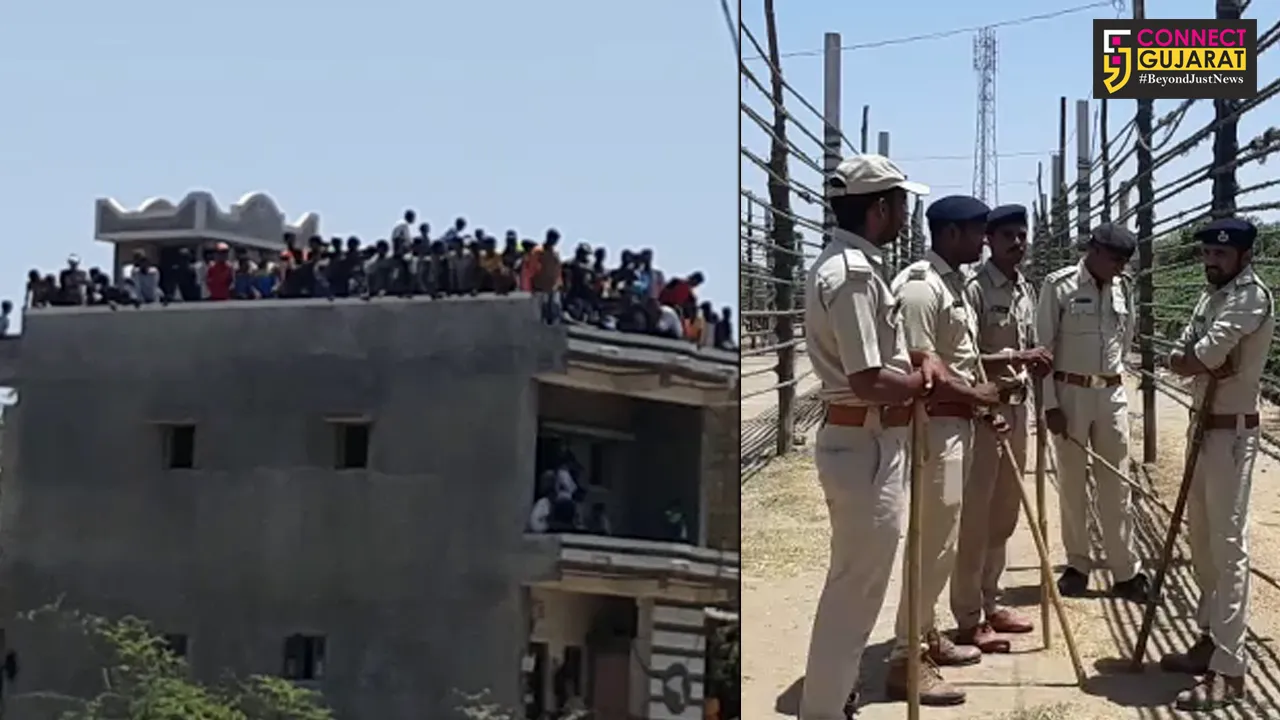 અમરેલી-જાફરાબાદમાં સિંહણ દરીયો ખેડી સામે કાંઠે આવી જતા લોકોમાં છવાયો ભય