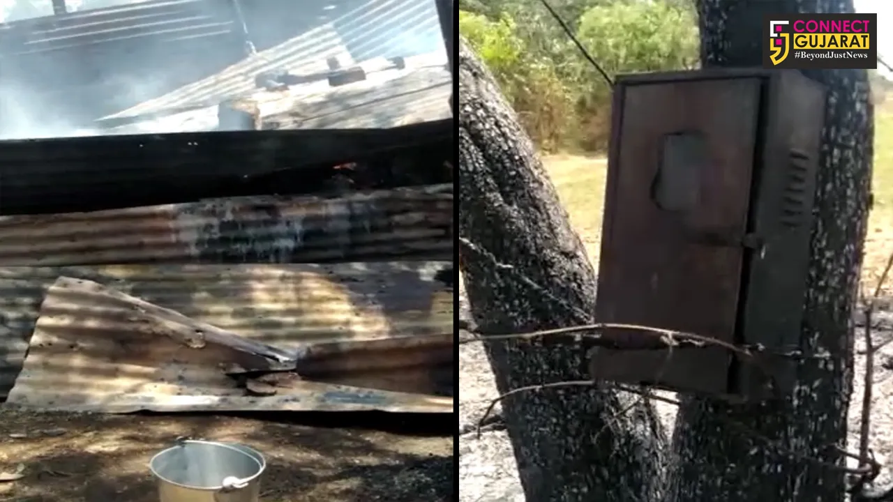 બાયડના ચોઈલા ગામે તબેલામાં આગ : બે ગાય બળીને ભડથું