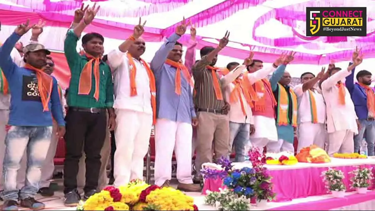ડેડીયાપાડા વિધાનસભામાં BTPને લાગ્યો મોટો ઝટકો:૧૦ ગ્રામપંચાયતના સભ્યો ભાજપમાં જોડાયા
