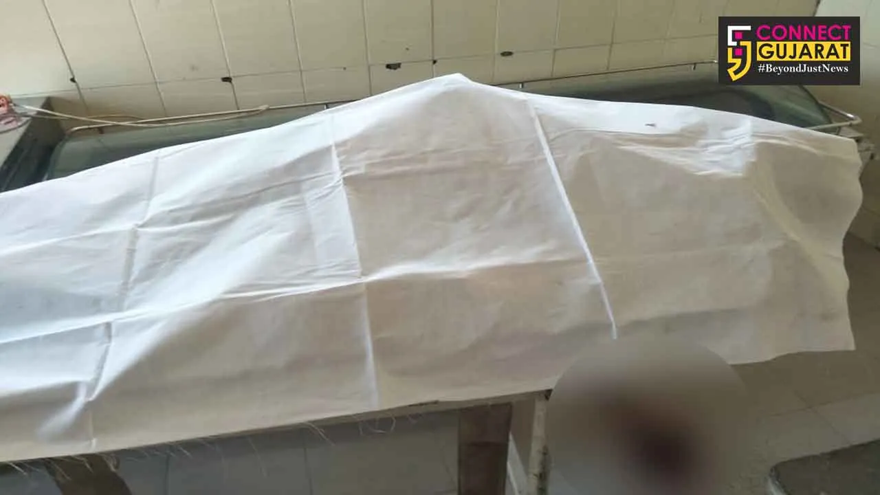 અંકલેશ્વર રાજપીપલા રોડ પર અજાણ્યા વાહનની ટકકરે ૪૦ વર્ષીય ઇસમનું મોત