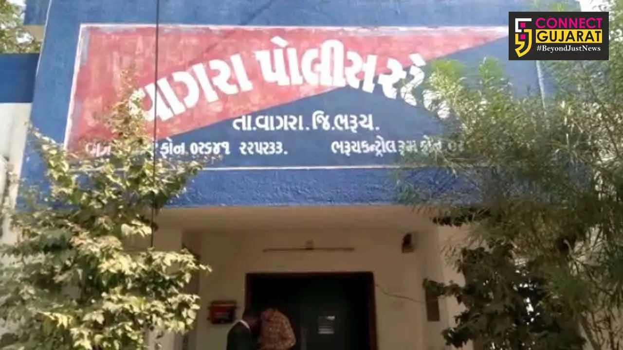 વાગરાના નાંદિડા ગામે ઘરના દરવાજા ખુલ્લા રાખવાનું ભારે પડયું