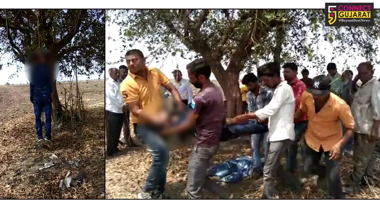 આમોદ : રોઝાટંકારીયા ગામના પ્રેમી પંખીડાએ ઝાડ પર લટકી ફાંસો ખાઈ લીધો