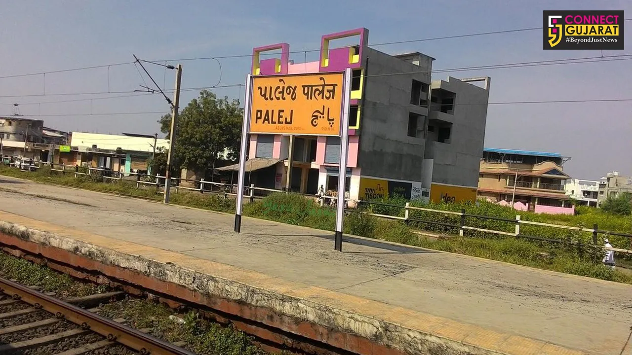 પાલેજ રેલવે સ્ટેશન નજીક બાવળનું વૃક્ષ ધરાશાયી થતાં ટ્રેન વ્યવહાર ખોરવાયો