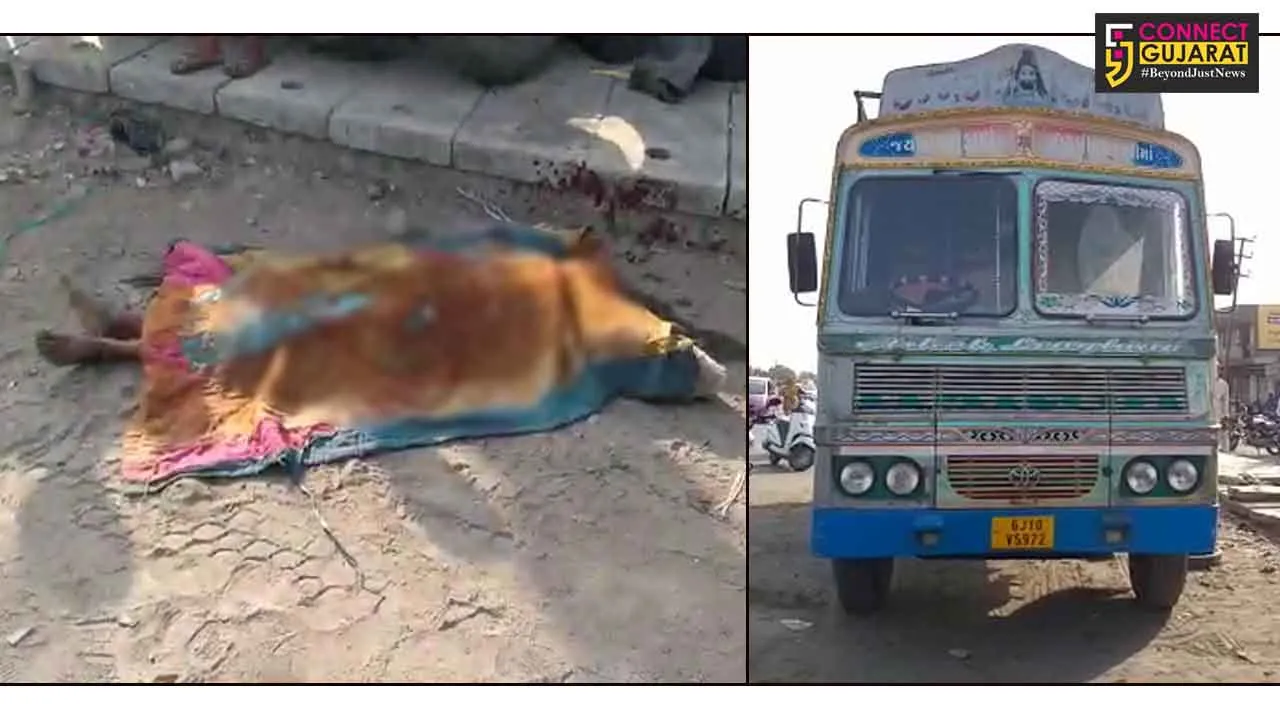 ગોંડલના નવા માર્કેટિંગ યાર્ડ પાસે અજાણ્યા પુરુષની હત્યા કરેલી લાશ મળી આવી