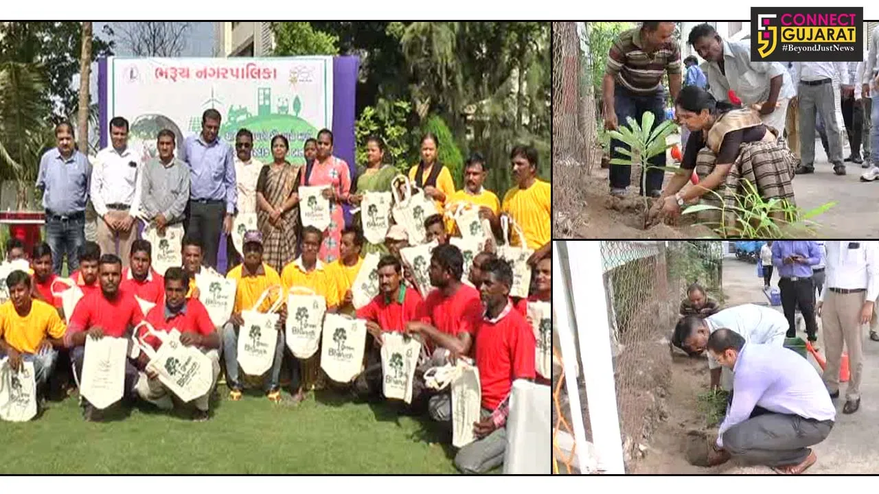 ભરૂચ નગરપાલિકા દ્વારા 5 જૂન વિશ્વ પર્યાવરણ દિવસની ઉજવણી કરાઇ
