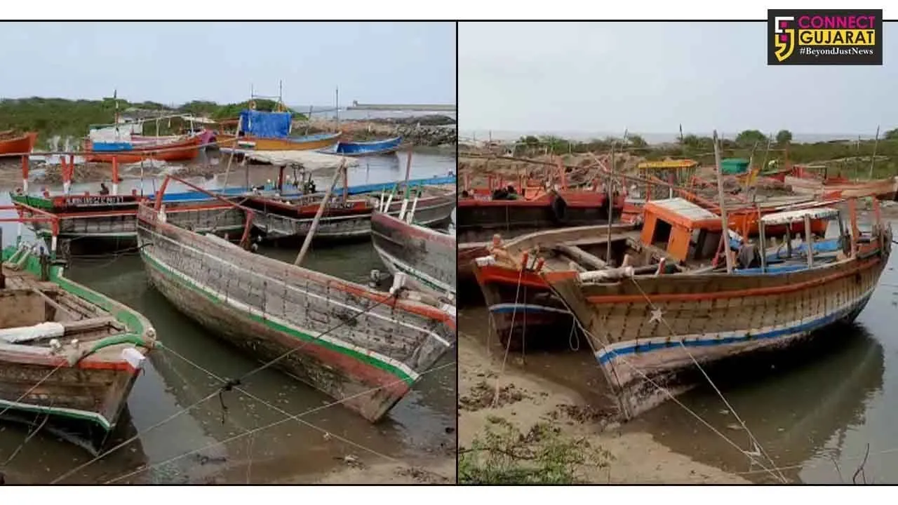 કચ્છ : વાયુ વાવાઝોડાના પગલે 150થી વધુ બોટ સુરક્ષિત સ્થાને ખસેડાઇ