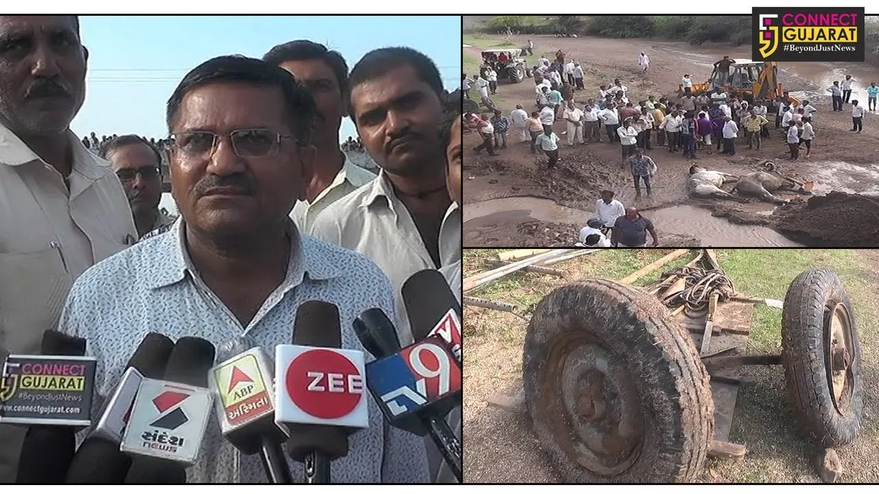 અમરેલી : સાવરકુંડલામાં પ્રથમ વરસાદનો કહેર, દંપતિ સહિત બળદ ગાડું તણાયું, ખેડૂત પુત્રનો બાવળના સહારે બચાવ