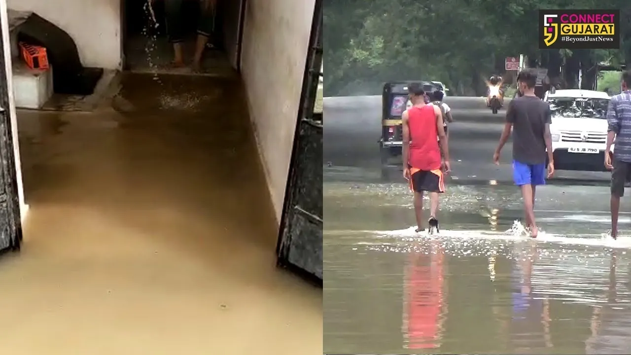 અંકલેશ્વરના સારંગપૂર ગામની સમતા સોસાયટીમાં કેમિકલ યુક્ત વરસાદી પાણી ફરી વળ્યું હોવાના સ્થાનિકોએ કર્યા આક્ષેપ