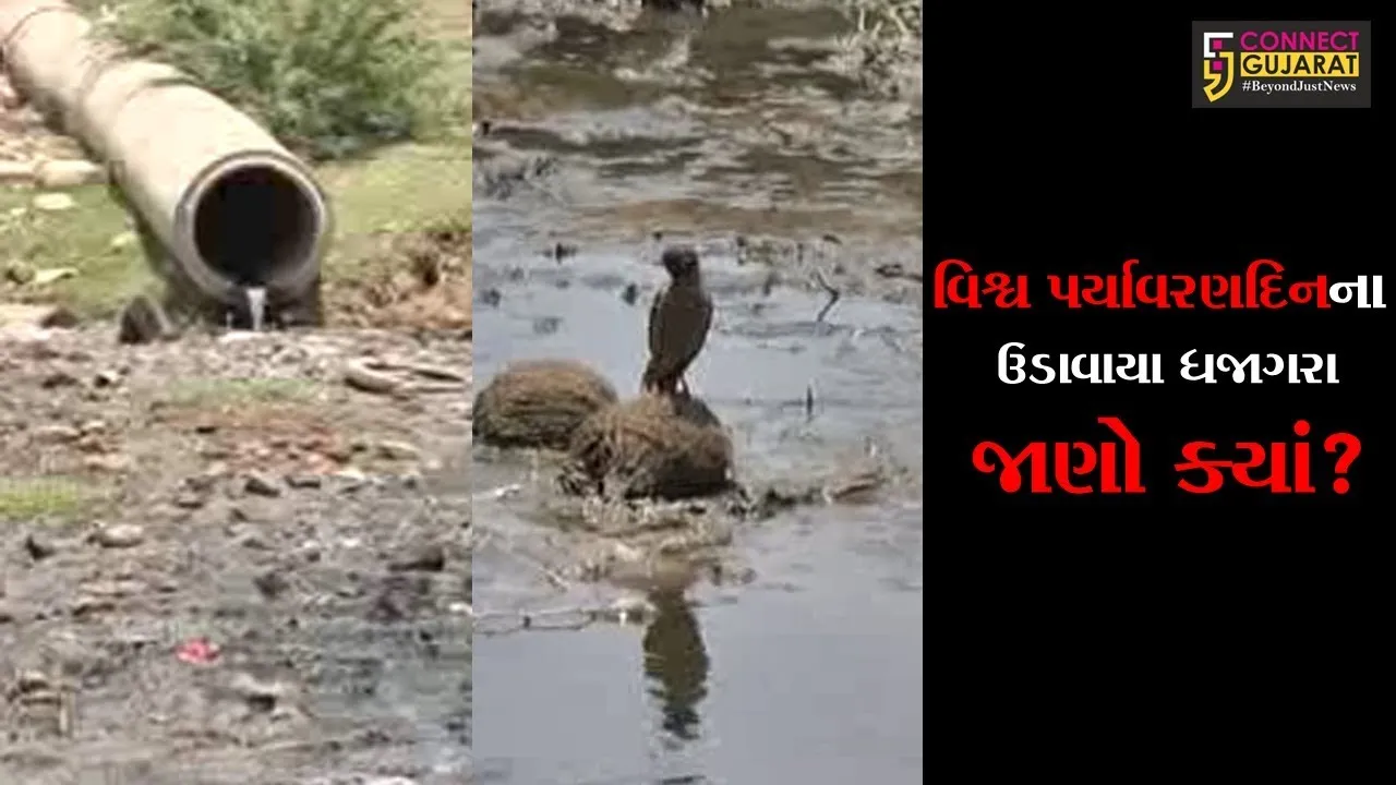ભરૂચ નગરપાલિકાના સત્તાધારી લોકો દ્વારા જ વિશ્વ પર્યાવરણ દિનના ઉડાવાયા ધજાગરા, જાણો કેમ ?