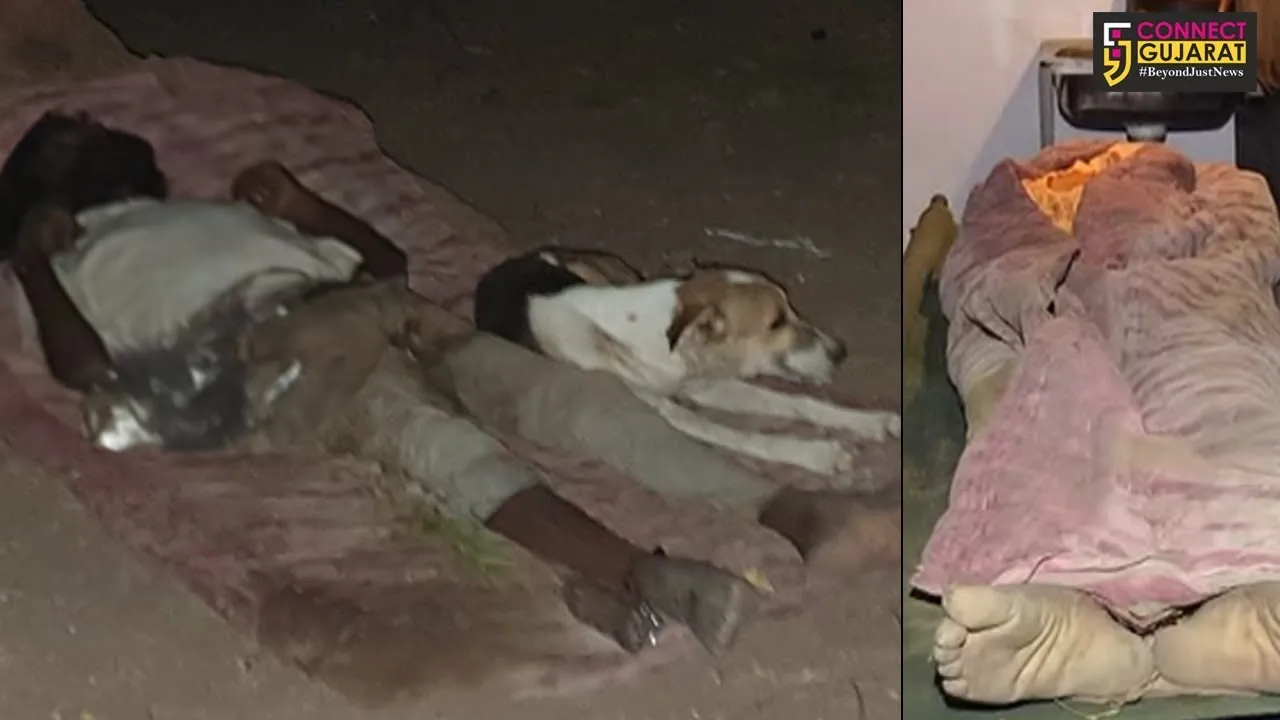 ભરૂચમાં માનવીમાં માનવતા જાણે મરી પરવારી છે, તો એક શ્વાને બતાવી માનવતા અને નિભાવી વફાદારી