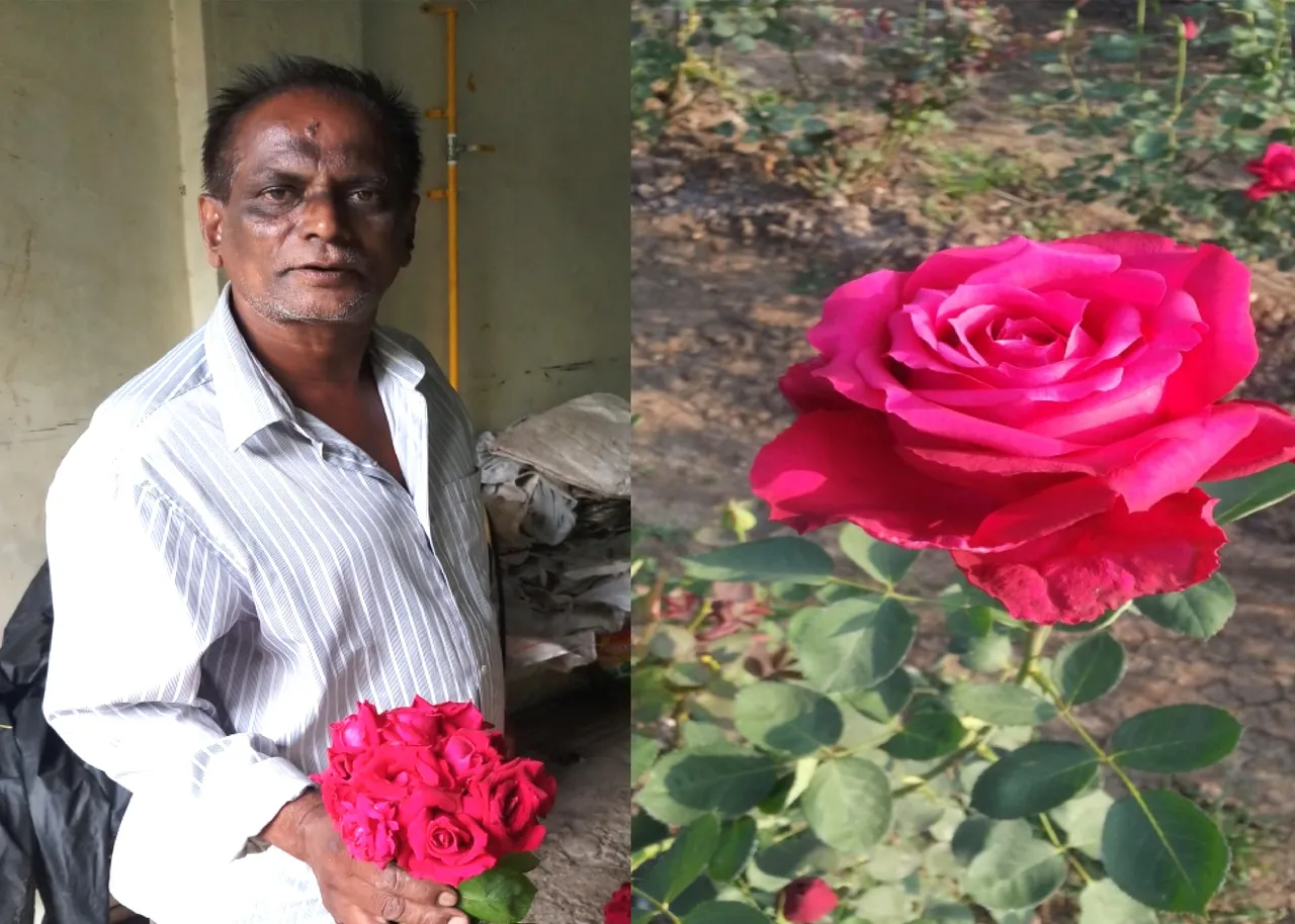 ગુલાબની ખેતીની આવક થકી મહેકી ઉઠયું મોહનભાઇનું જીવન