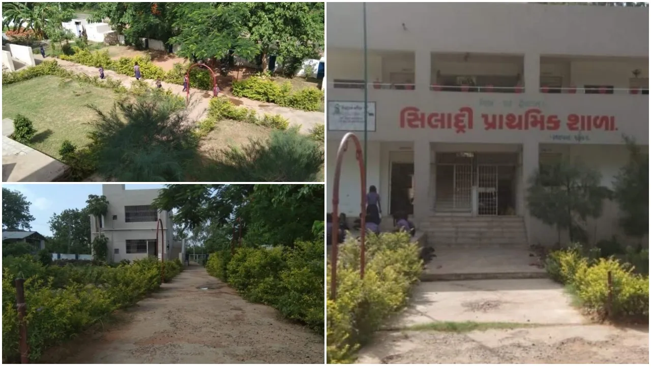 અરવલ્લી: ભિલોડા તાલુકાની સિલાદ્રી સરકારી સ્કૂલ બની ગ્રીન સ્કૂલ, શાળામાં ઓષધી છોડ સહિત 500 જેટલા વૃક્ષોનું કરાશે જતન