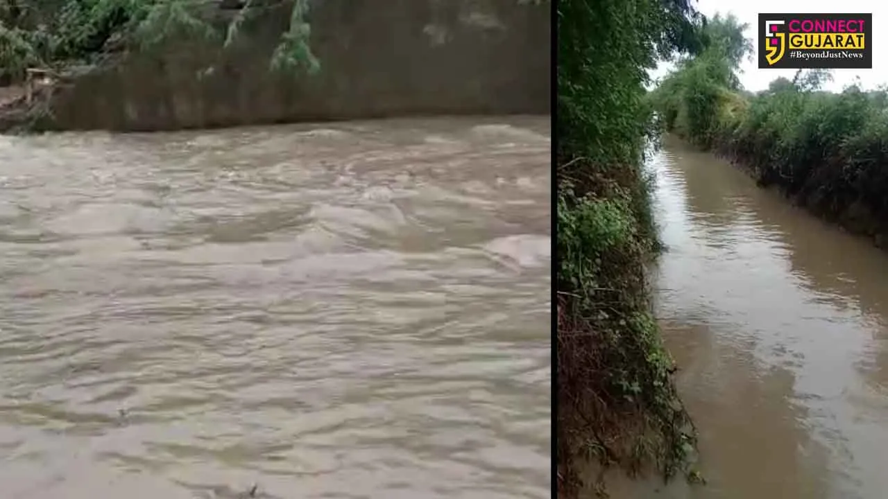 બનાસકાંઠા : વાવના માંકડા ગામનું તળાવ ફાટતાં ગામમાં ઘુસ્યા કમરસમાં પાણી