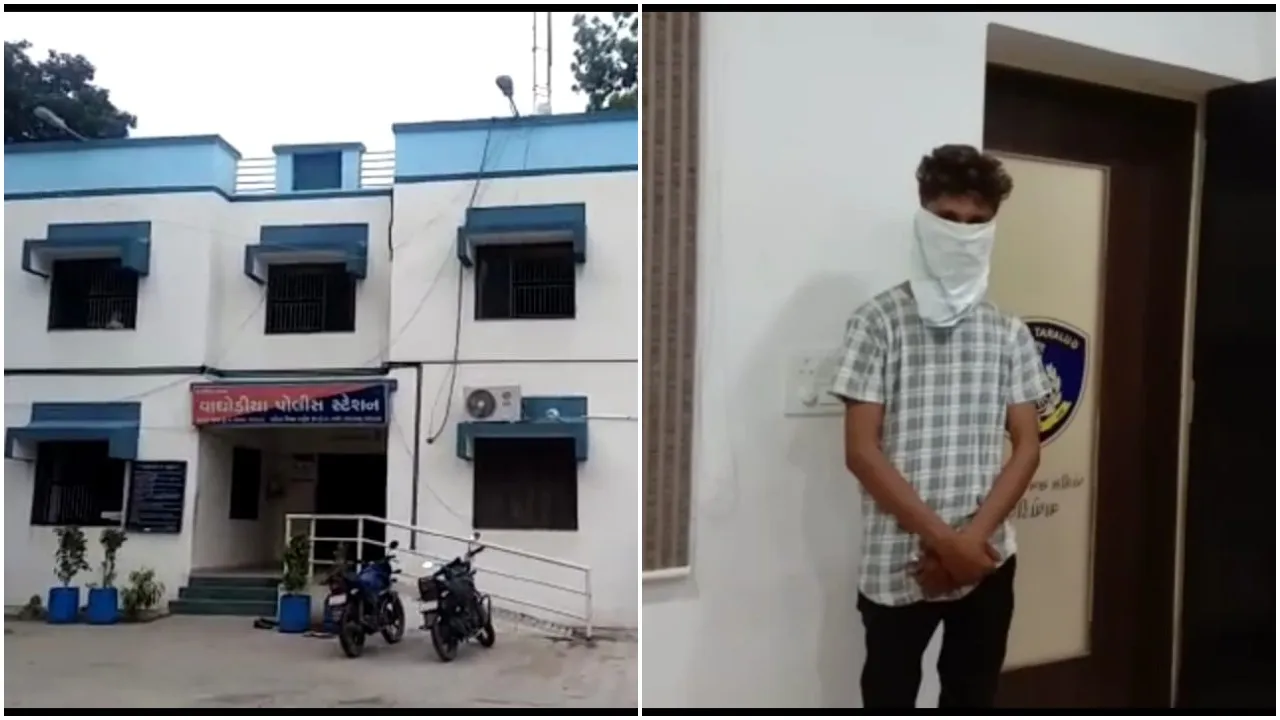 વાઘોડીયા: વોટ્સઅપ માધ્યમથી કિશોરીને હેરાન કરનાર રોમિયોની કરી પોલીસે અટકાયત