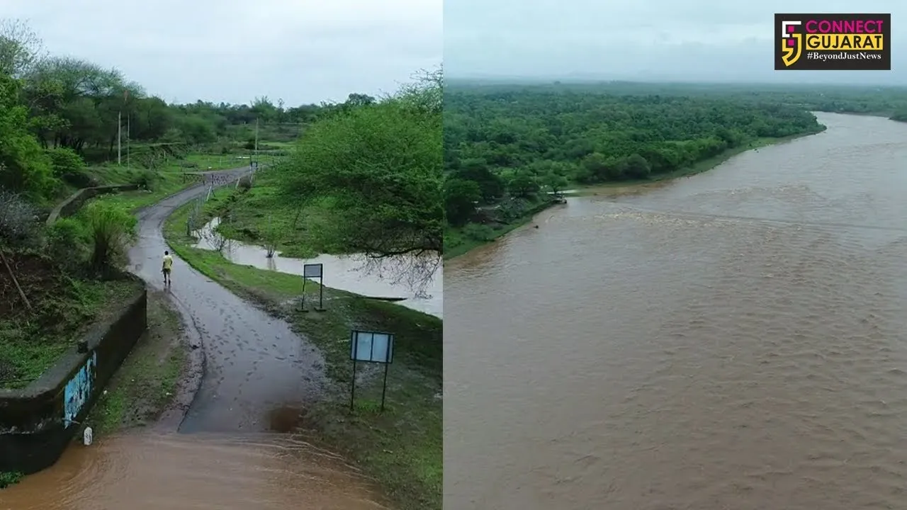 નવસારી : ઔરંગા નદી છલકાઈ, કેટલાક ગામો થયાં સંપર્ક વિહોણા
