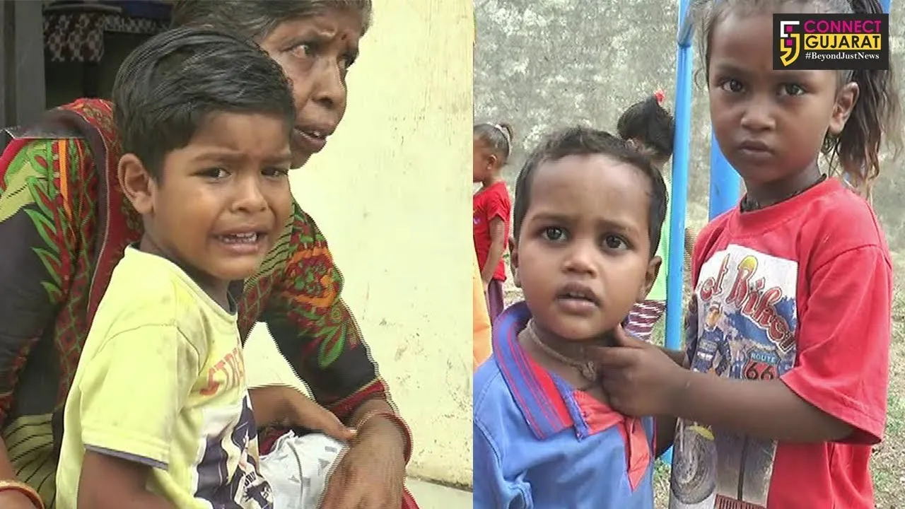 નર્મદા અને દાહોદ જિલ્લામાં સહુથી વધુ ૧૨૩૬૮ બાળકો કુપોષિત.!